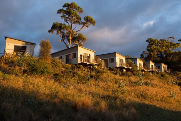 A row of modern houses with balconies, set on a grassy hill with trees. - Swansea Beach Chalets (Swansea)