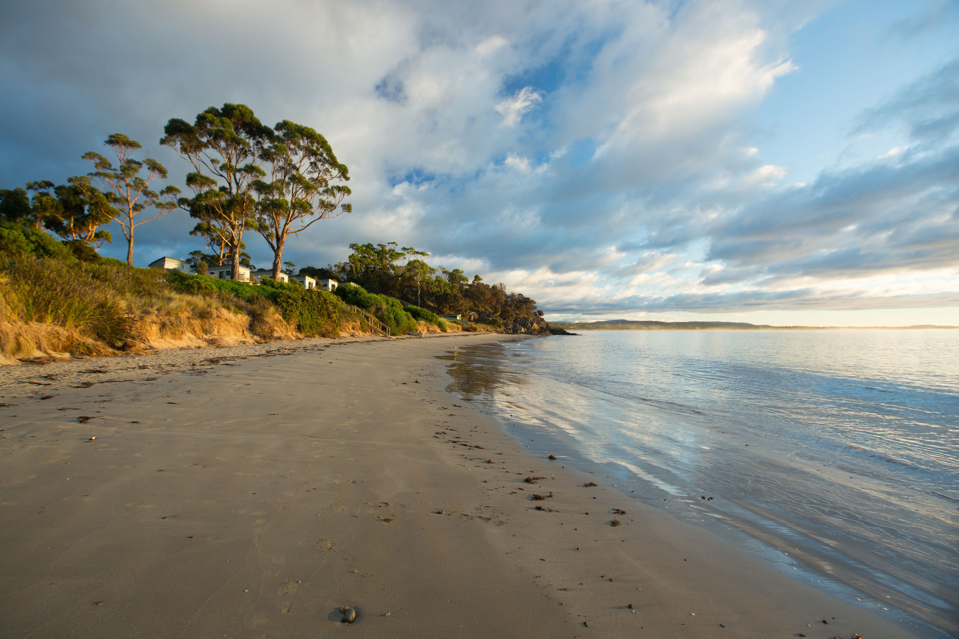 Une plage avec un rivage sablonneux, des arbres et une mer calme sous un ciel partiellement nuageux.