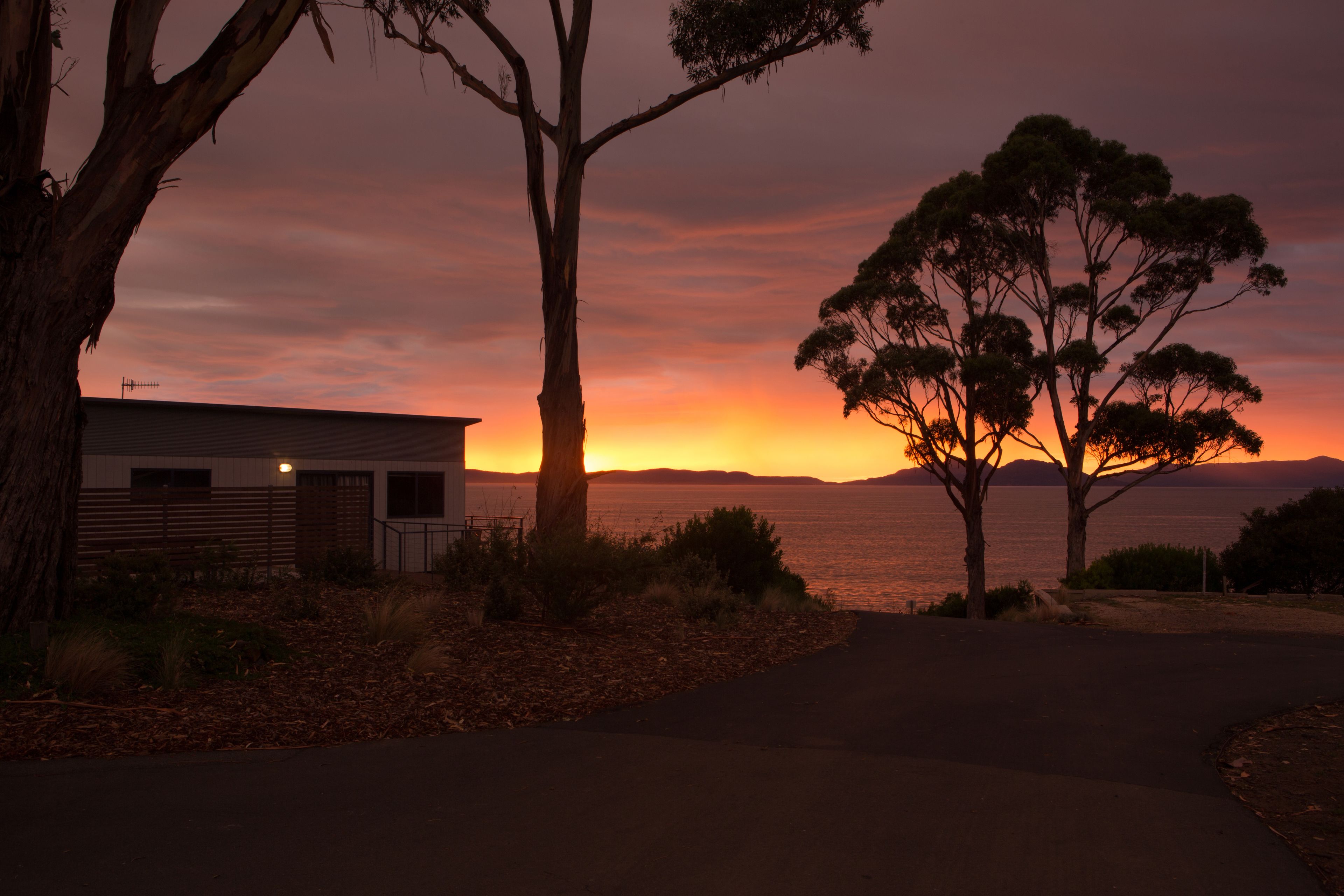 A modern building with a flat roof, surrounded by trees and a pathway leading to the ocean.