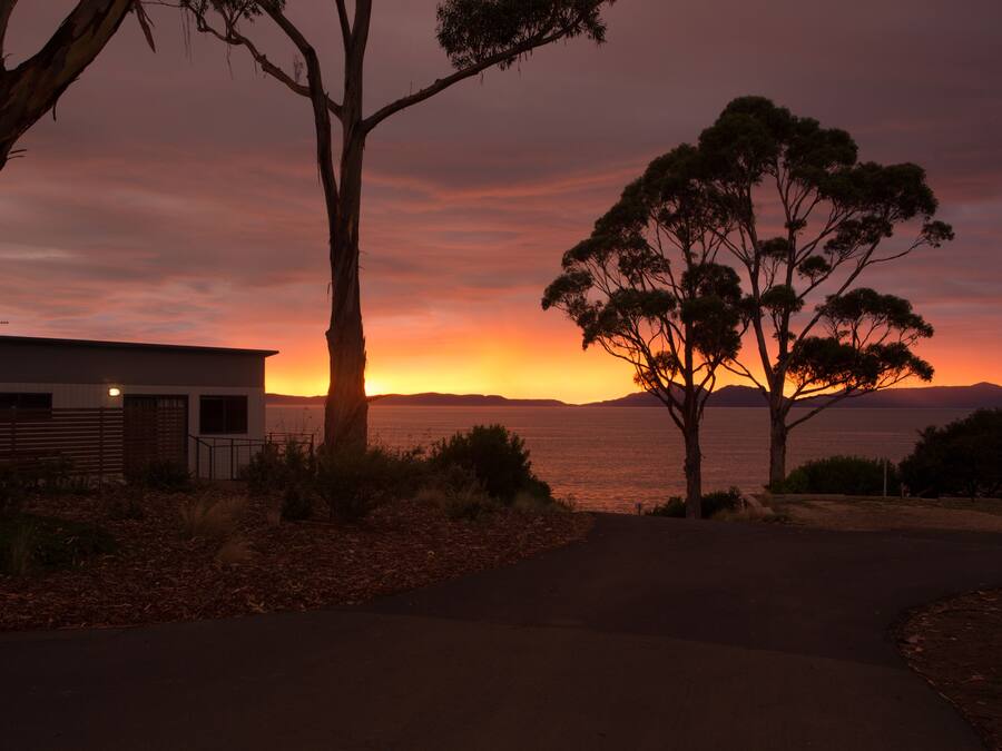 A modern building with a flat roof, surrounded by trees and a pathway leading to the ocean.
