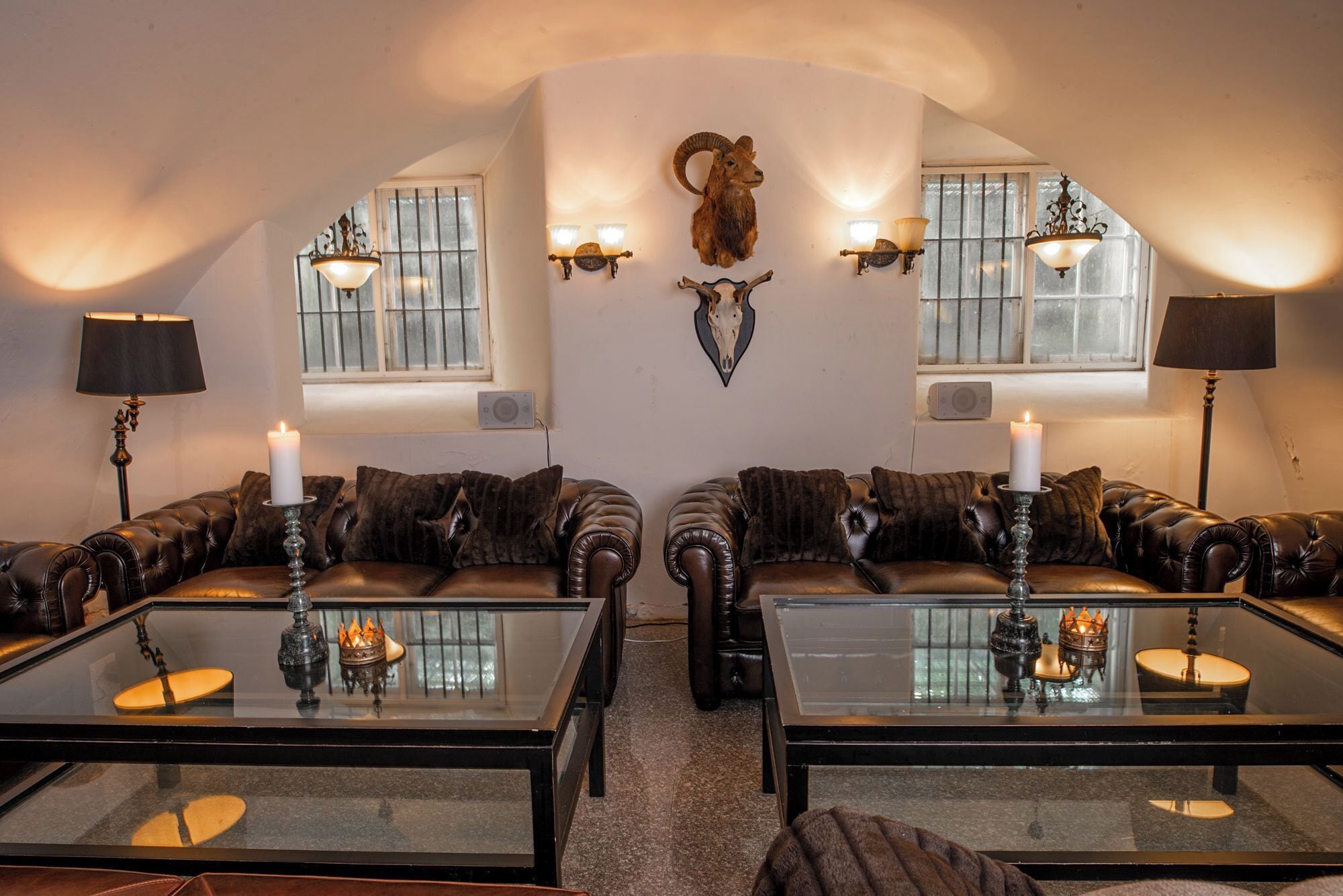 A cozy room with leather sofas, a glass coffee table, and a mounted ram skull.