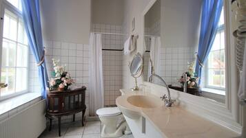 A bathroom with a white sink, a toilet, a vanity with a mirror, and a shower area.