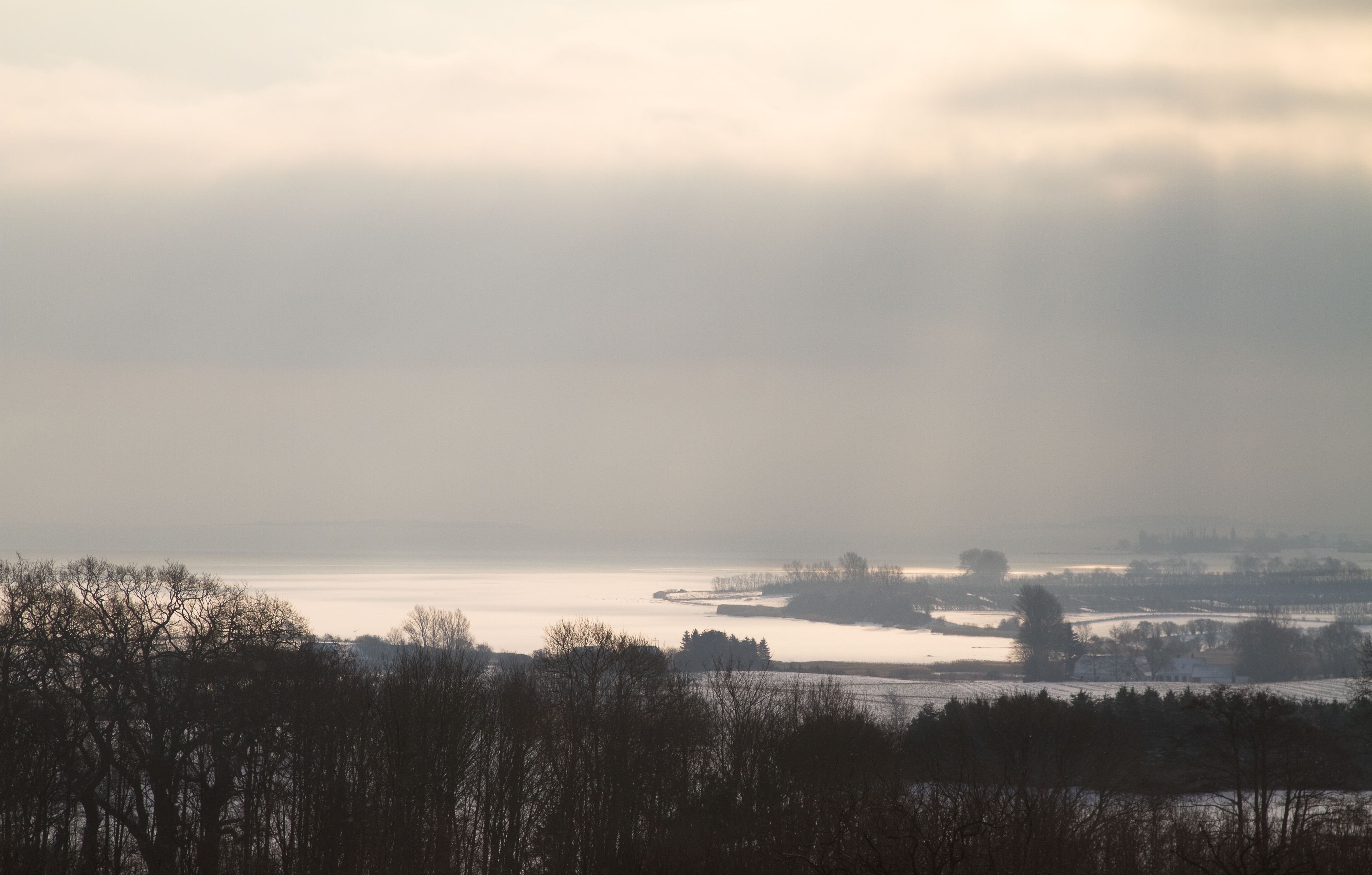 A landscape view of a coastal area with a body of water, trees, and buildings in the distance.