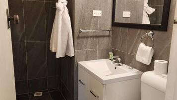 Standard Single Room | Bathroom | Hair dryer, towels