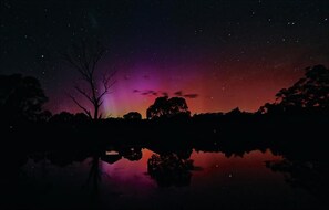 View from property - Altitude 1260 (Crackenback)