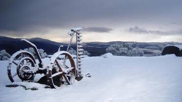 Snow and ski sports