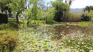 Unclassified image, 5 of 60, button - Rothman Manor Guest House (Swellendam)
