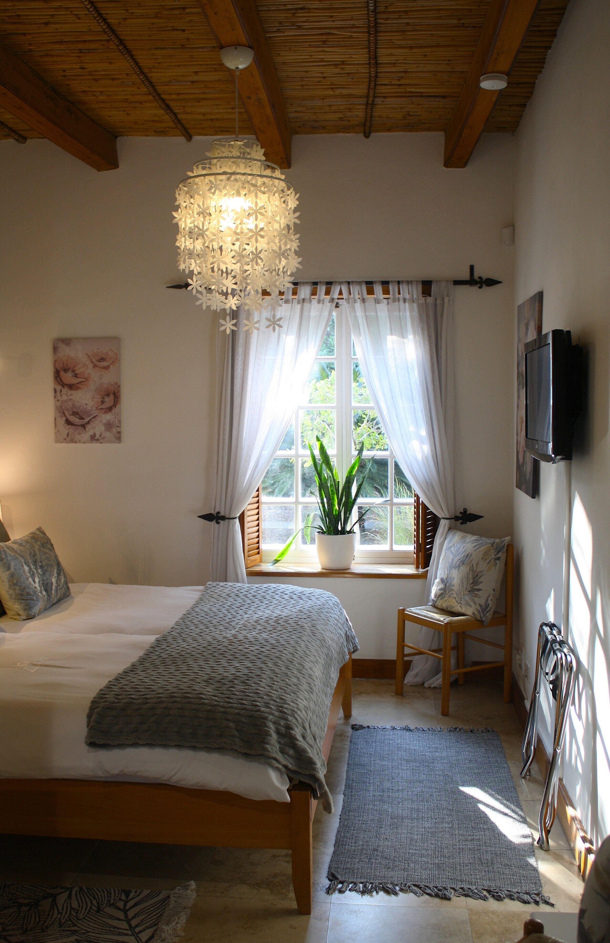 A bedroom with a bed, a chair, a potted plant, a TV, and a window with curtains.