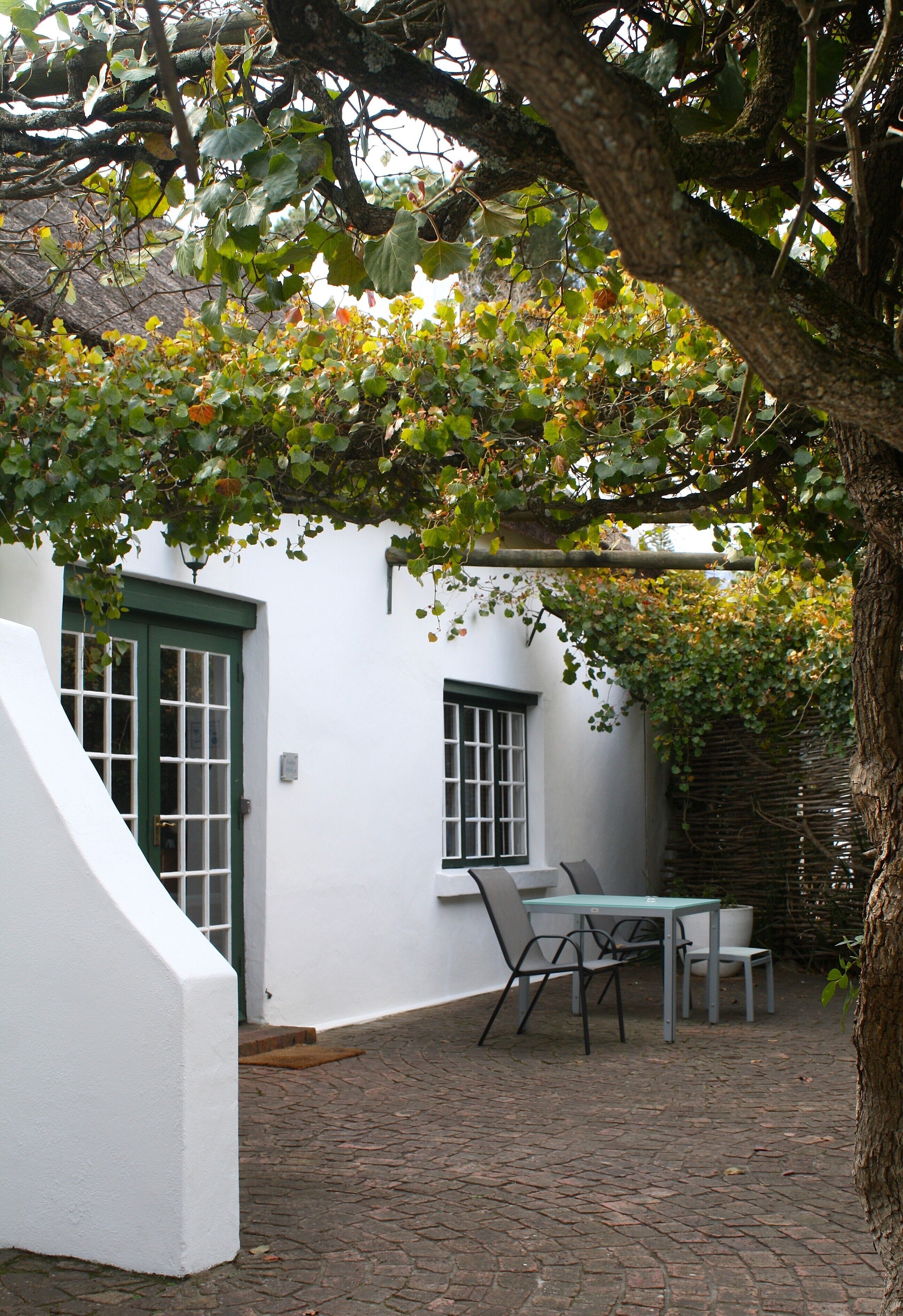 A white building with a green door and windows, a table with chairs, and a tree with green leaves.
