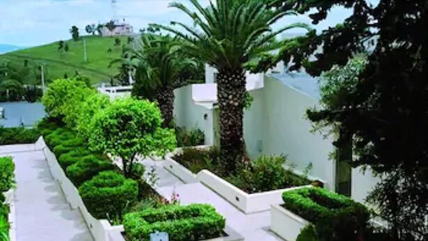 Ein angelegter Garten mit einer Palme, ordentlich geschnittenen Sträuchern und einem weißen Gebäude.