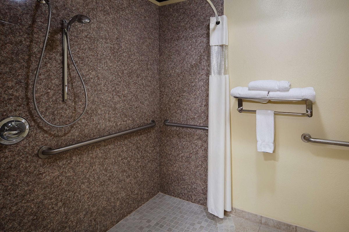 standard room, 1 king bed, accessible, non smoking (jetted tub ) | bathroom | hair dryer, towels