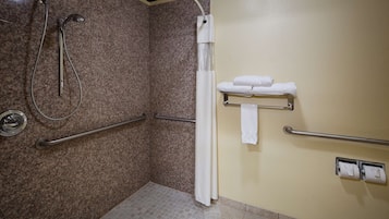 Et badeværelse med bruser, gelænder, håndklædestige og toiletpapirholder.
