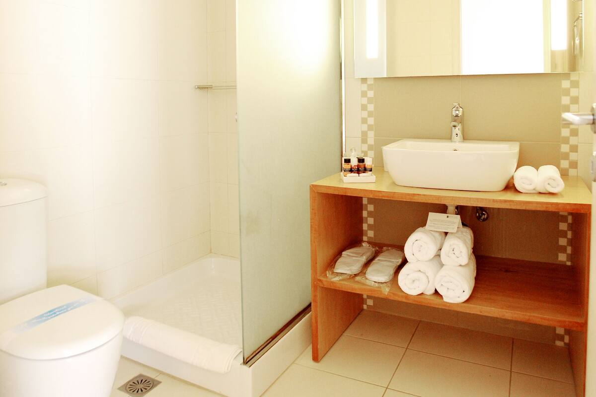 jetted bath, hydromassage showerhead, designer toiletries, hair dryer