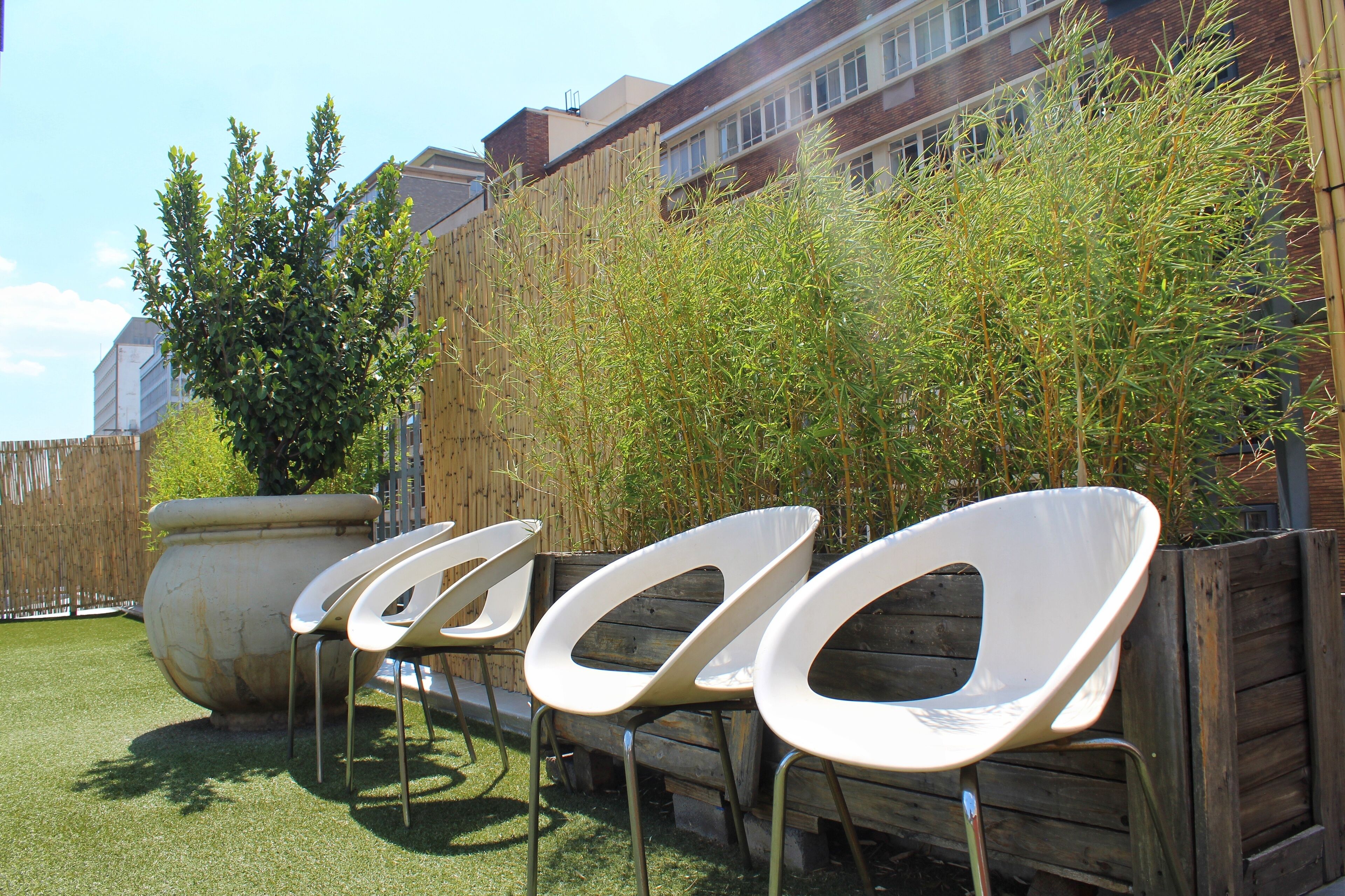 A row of white chairs with metal legs, arranged in a line on a grassy area with a wooden fence and bamboo plants in the background.