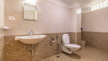 Shower, hair dryer, bidet, towels