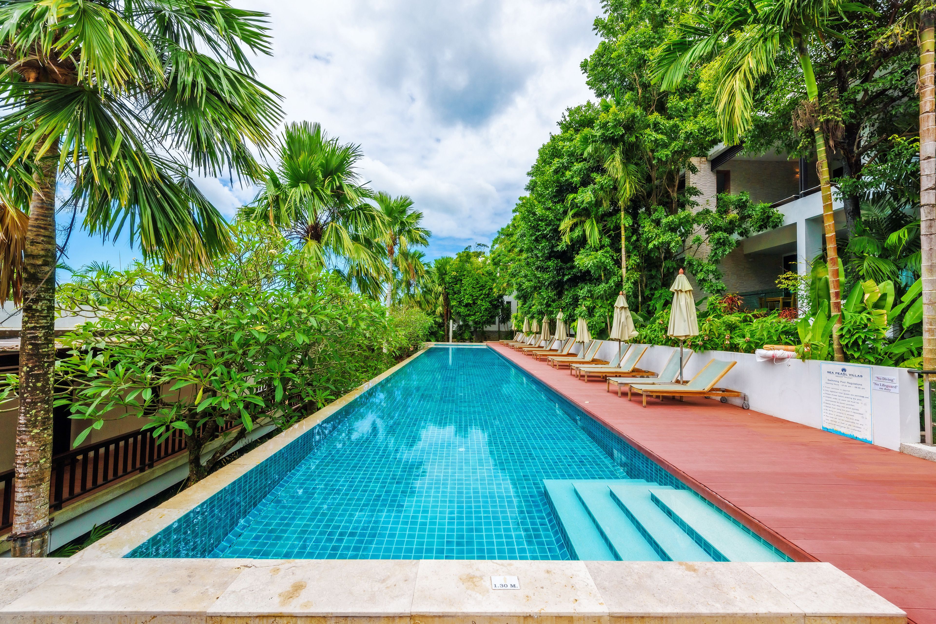 Una piscina rettangolare con bordo piastrellato, circondata da vegetazione rigogliosa e palme.