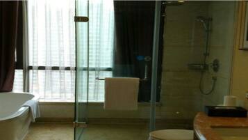 A modern bathroom with a glass-enclosed shower, a bathtub, and a vanity with a mirror.