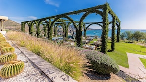 Un jardín con un arreglo de cactus, un camino empedrado y vista al mar.