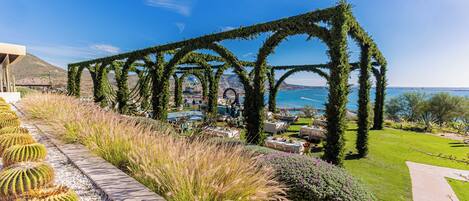 A garden with a cactus display, a paved walkway, and a view of the sea.
