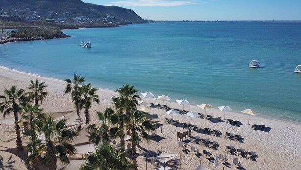 Una playa con palmeras, sillas de playa y sombrillas.