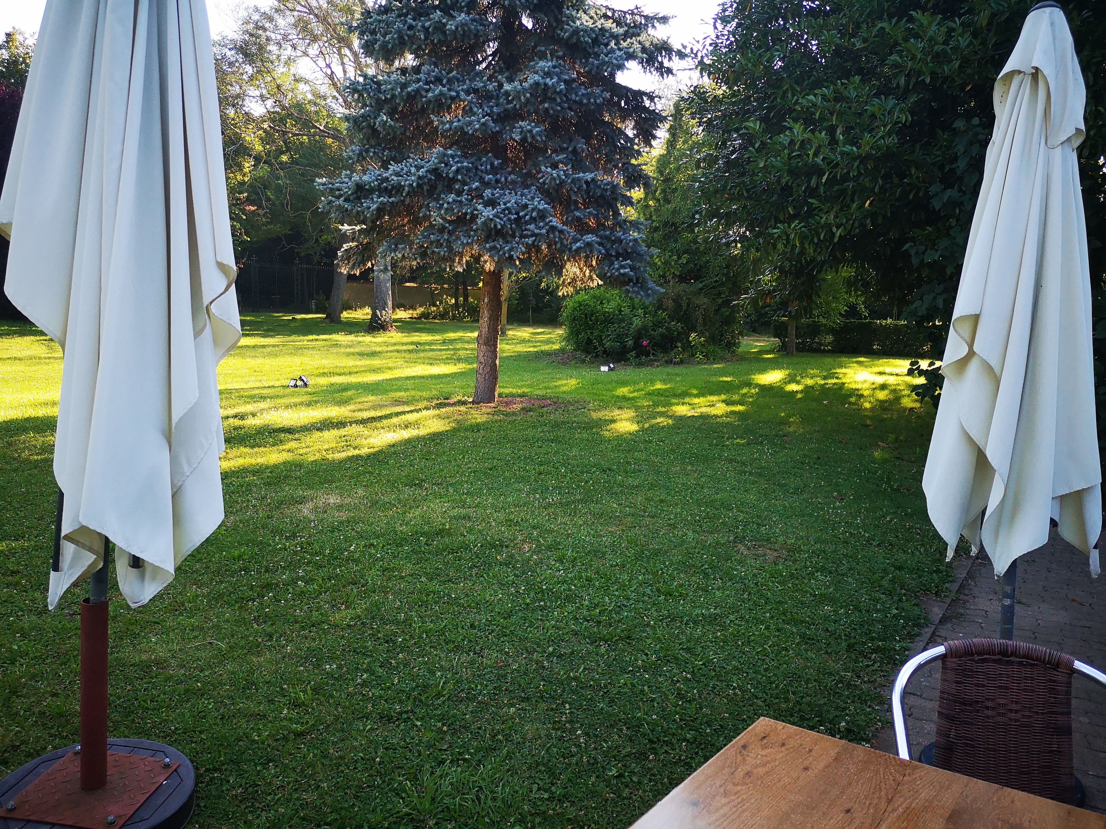 Een verzorgd gazon met twee witte parasols, een houten tafel en een rieten stoel.