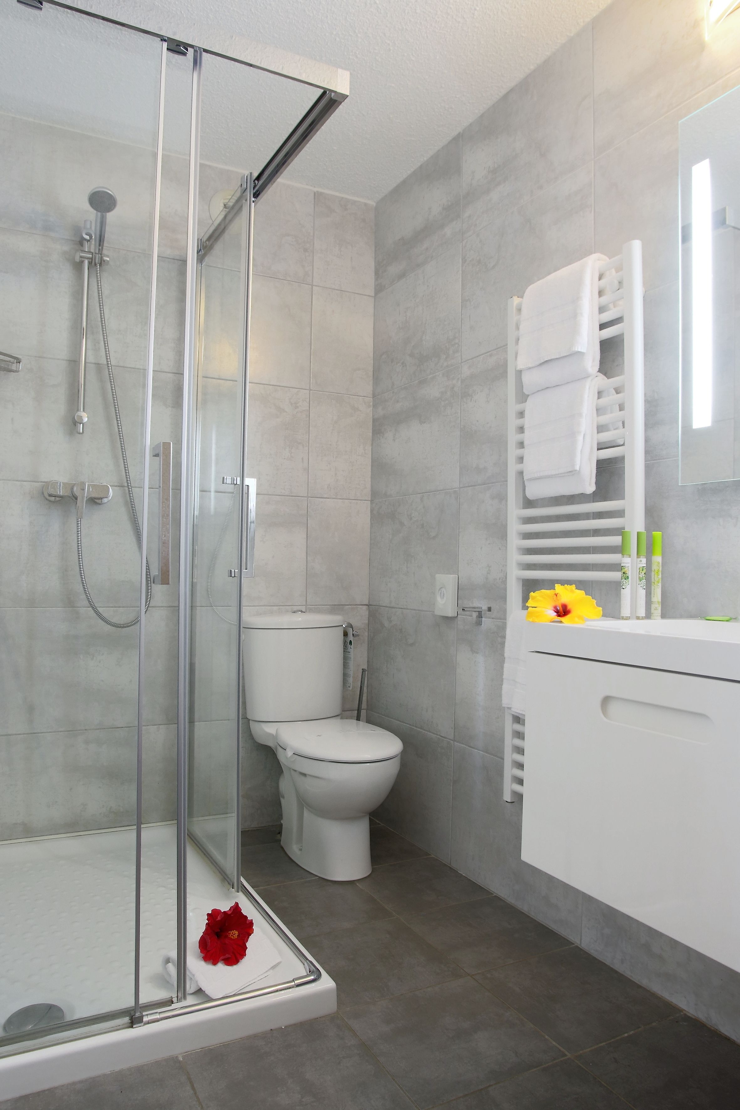 free toiletries, hair dryer, towels