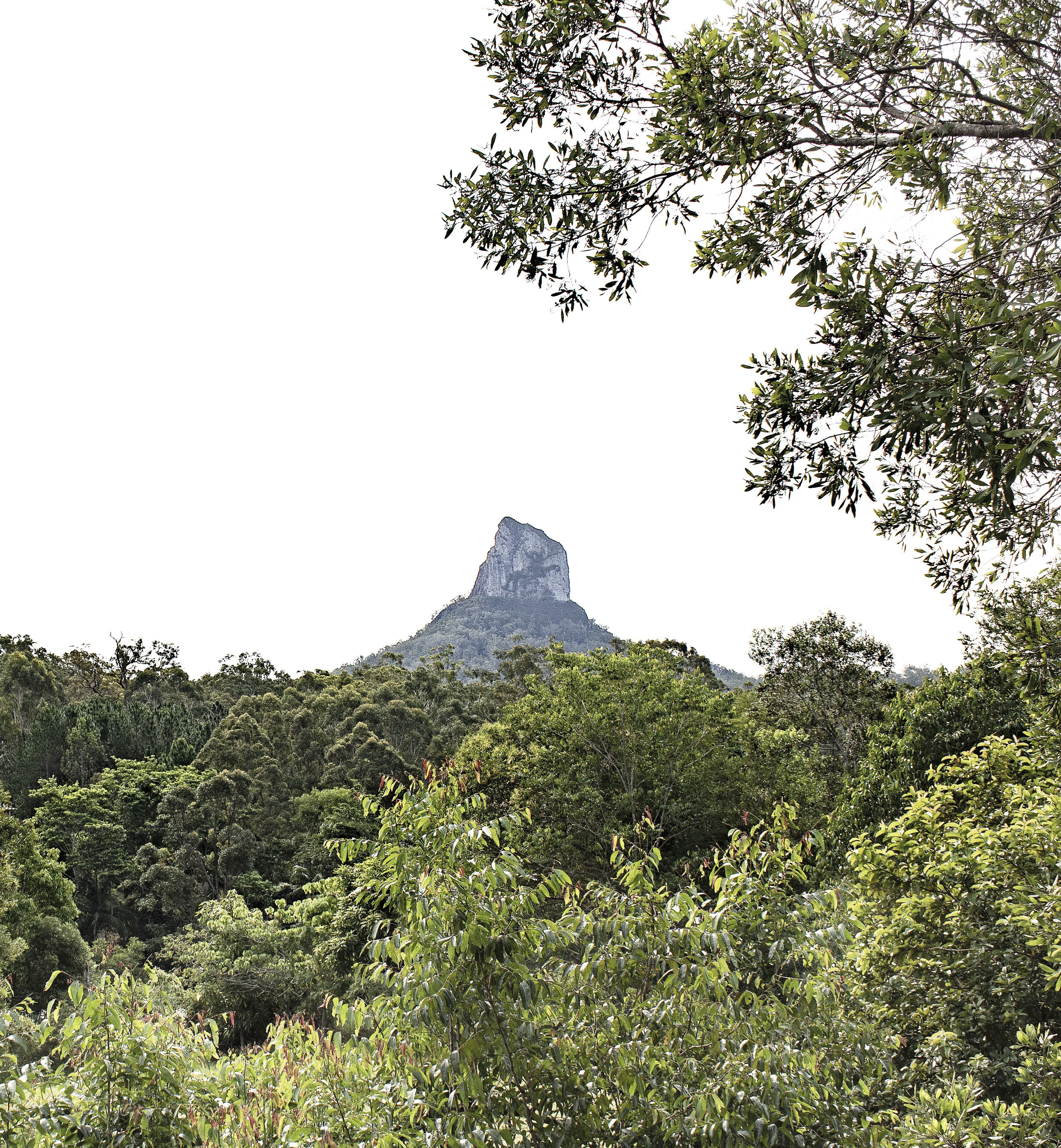 Une montagne au sommet bien défini, entourée d’une forêt dense.