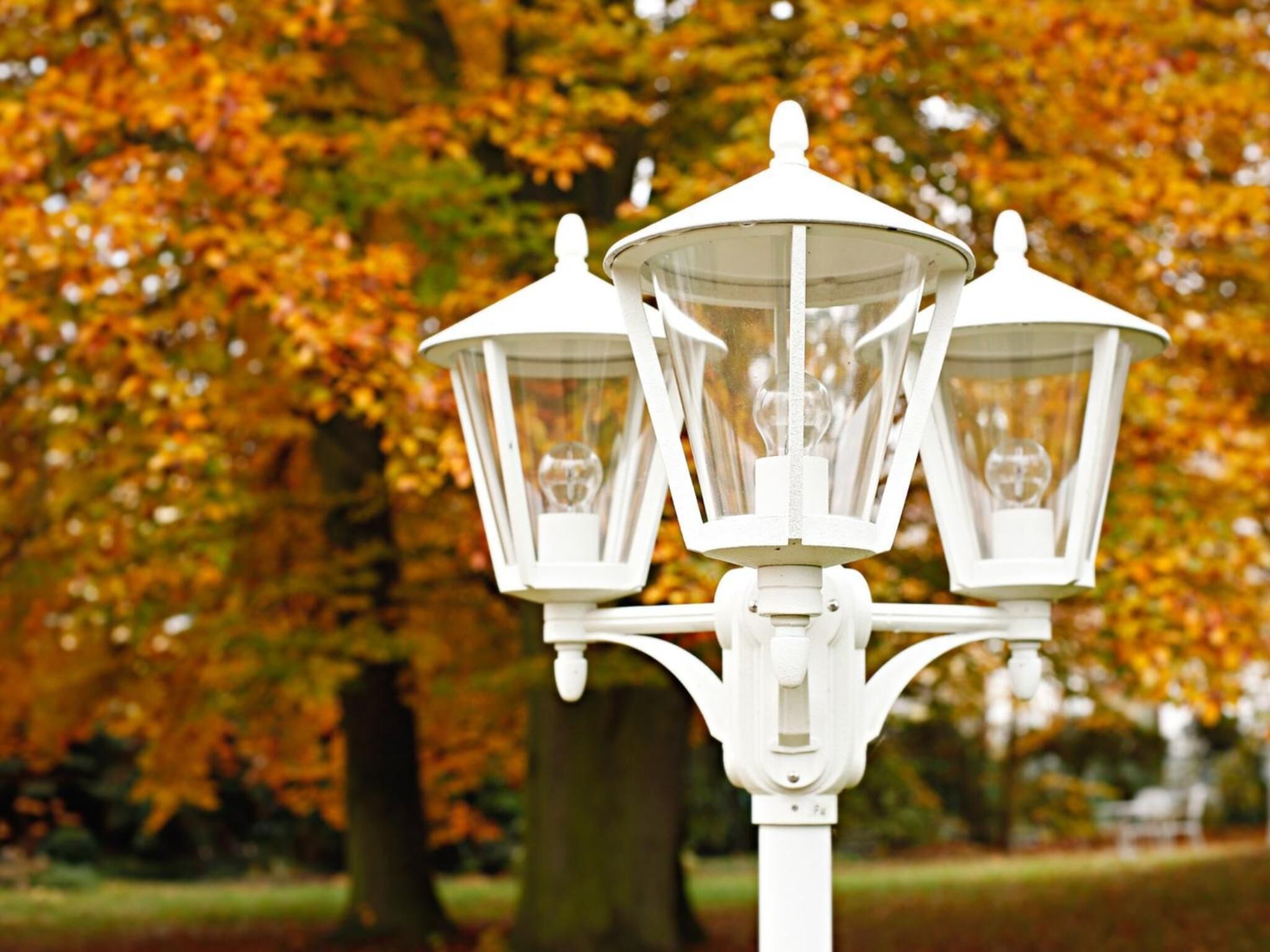 outdoor banquet area