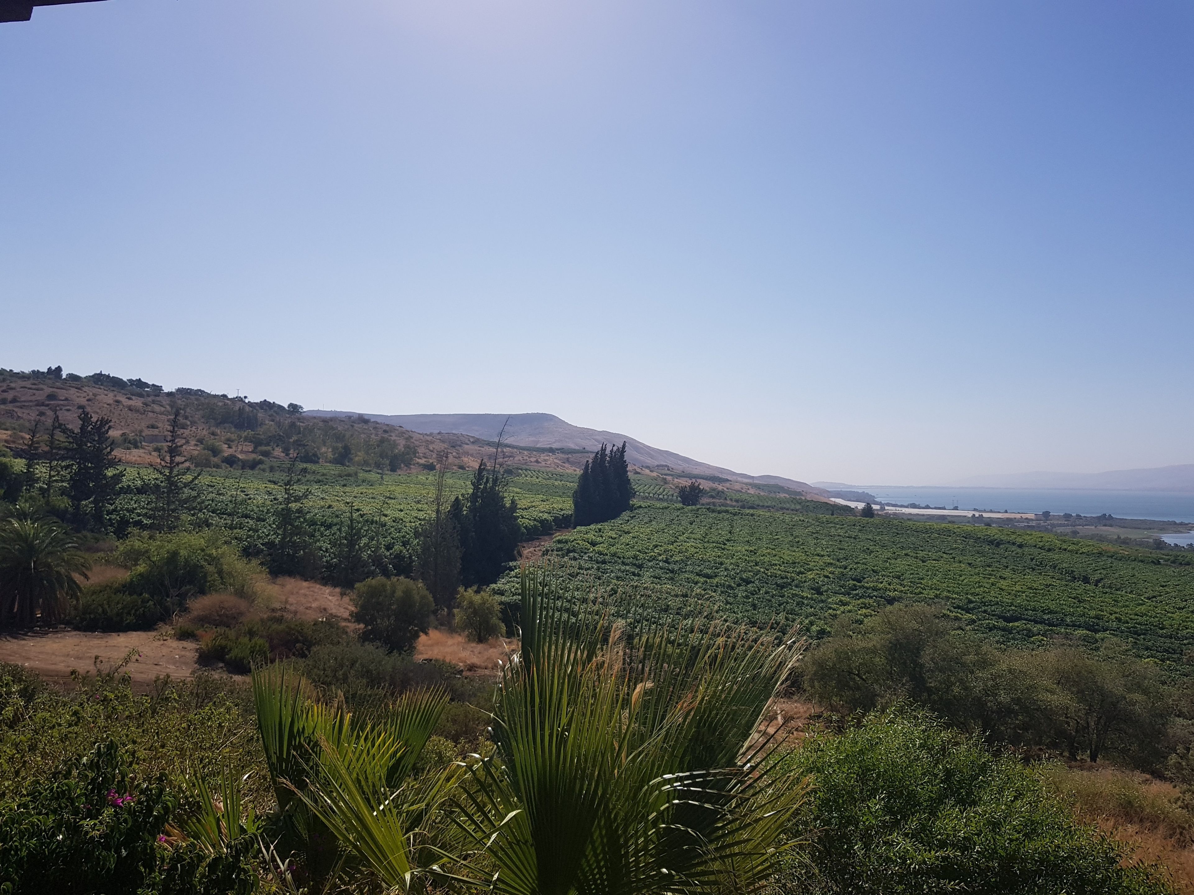 land view from property