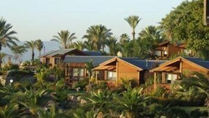 A row of wooden cabins with a view of the ocean and palm trees. - Ramot Resort Hotel (Ramot)