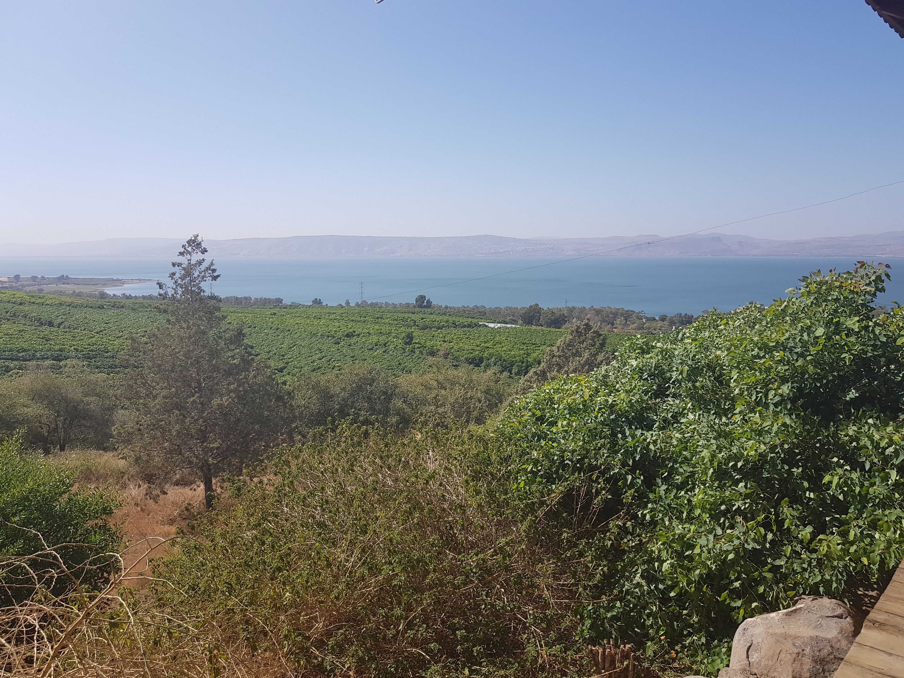 land view from property