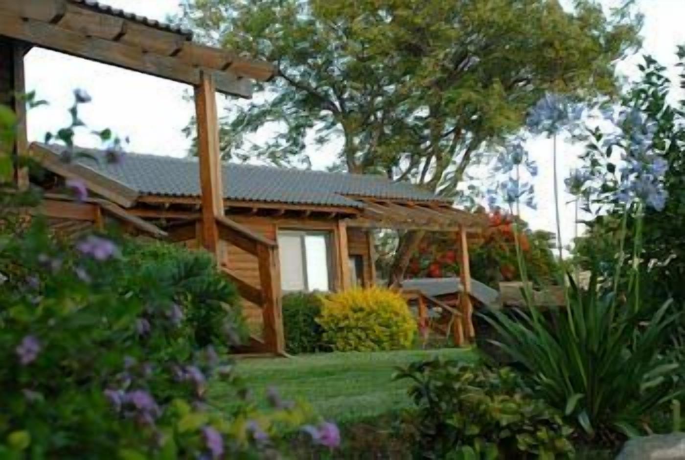 A wooden cabin with a covered porch, surrounded by lush greenery and flowering plants.