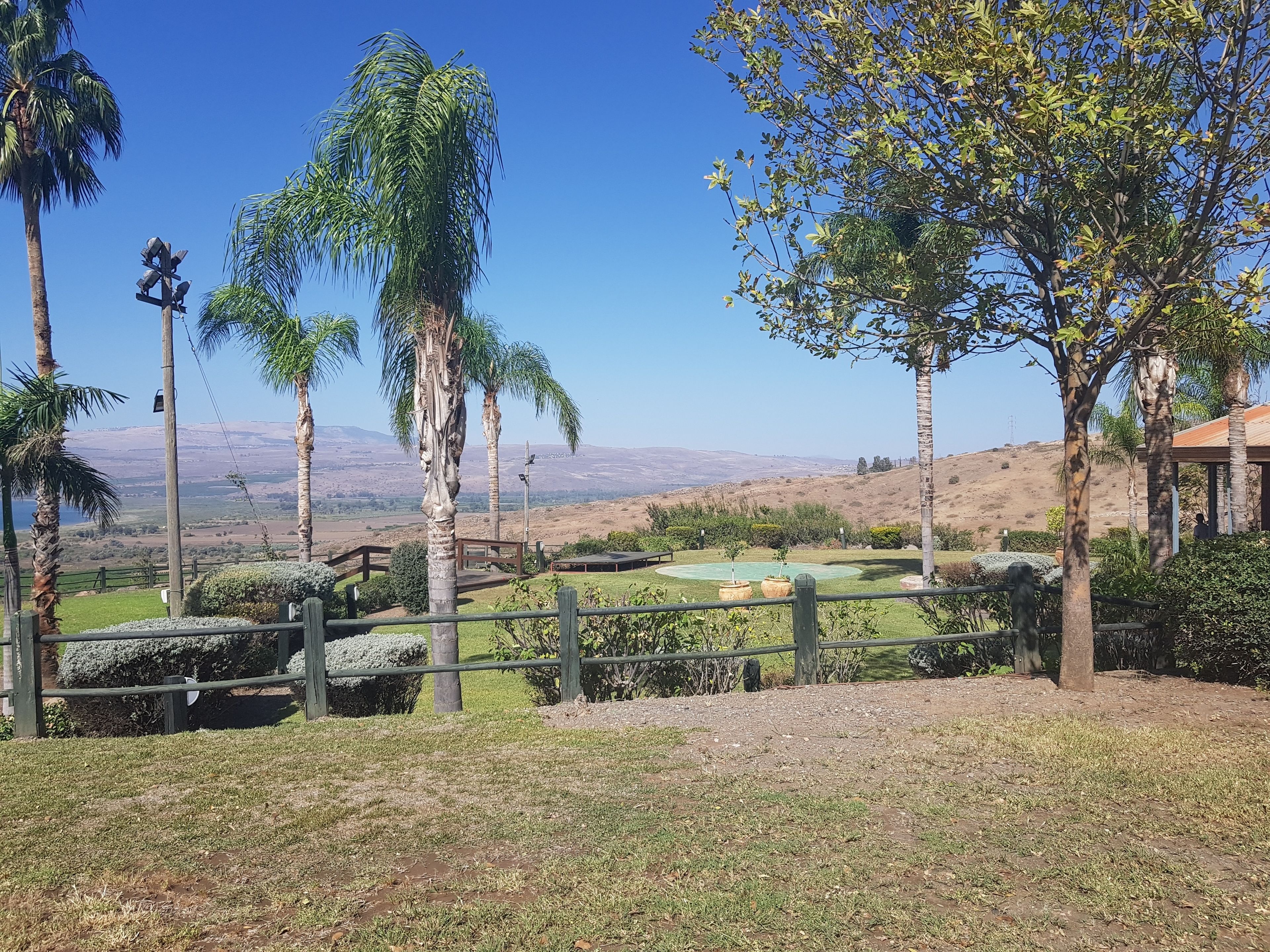 A landscaped area with palm trees, a wooden fence, and a view of distant hills.