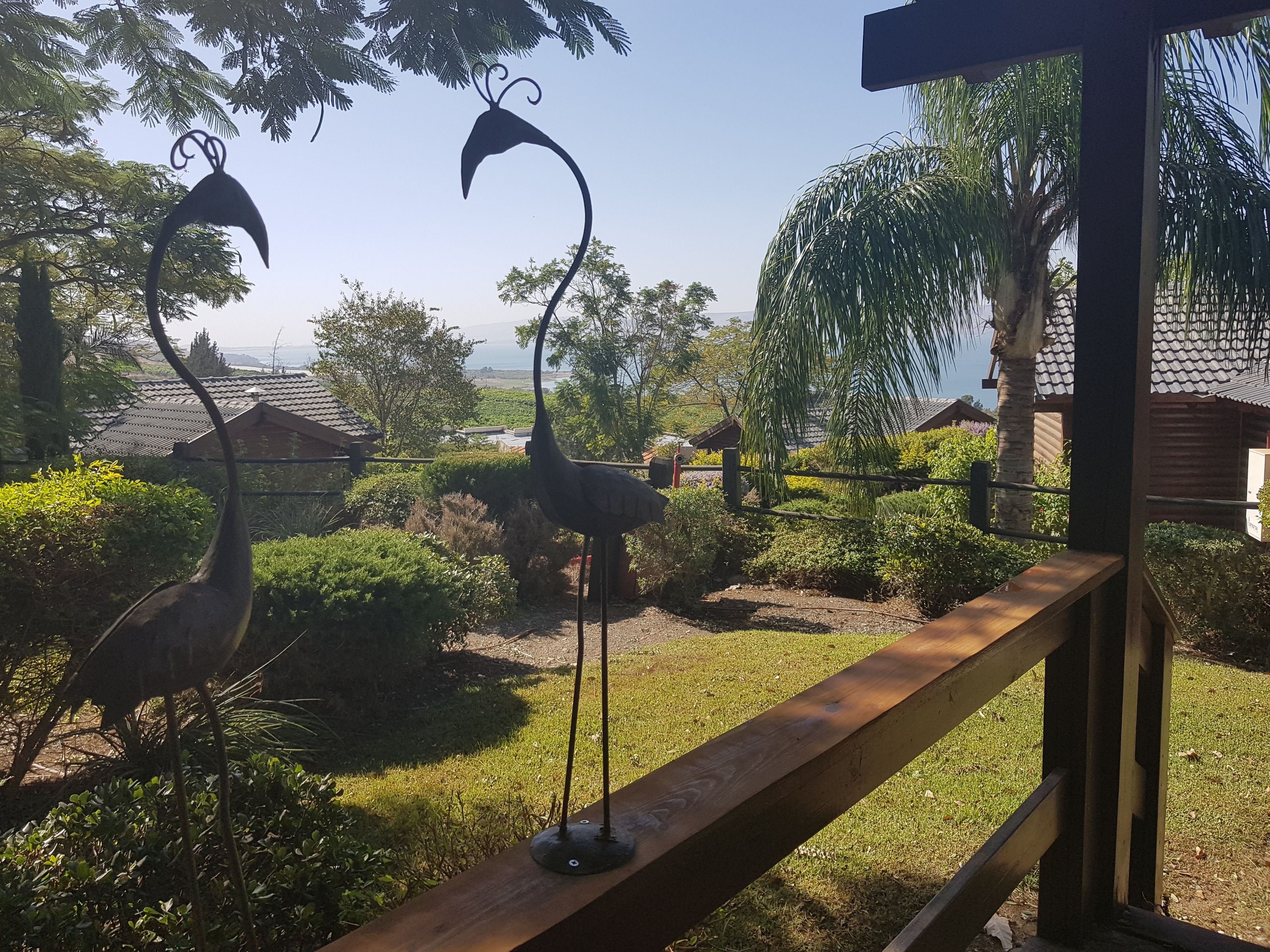 deluxe chalet | garden view