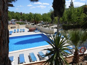 Una piscina con sillas de descanso y una palmera.