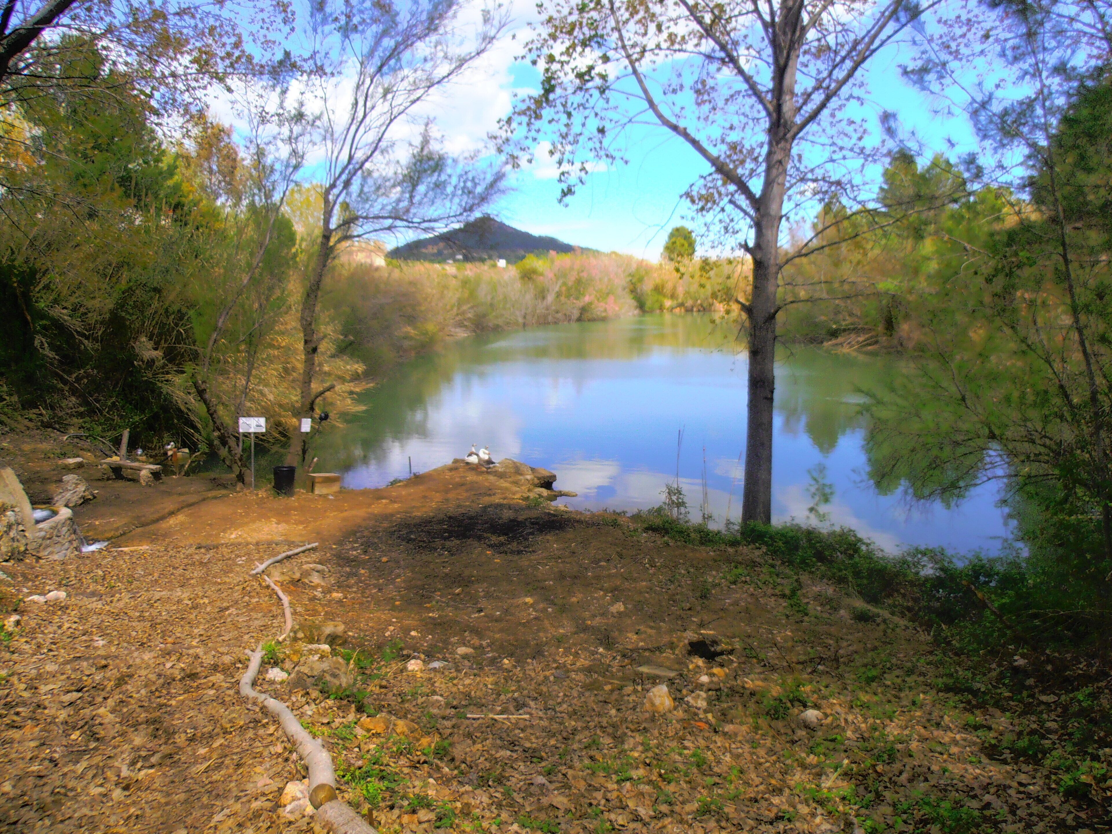 Foto - Oasis Country Park