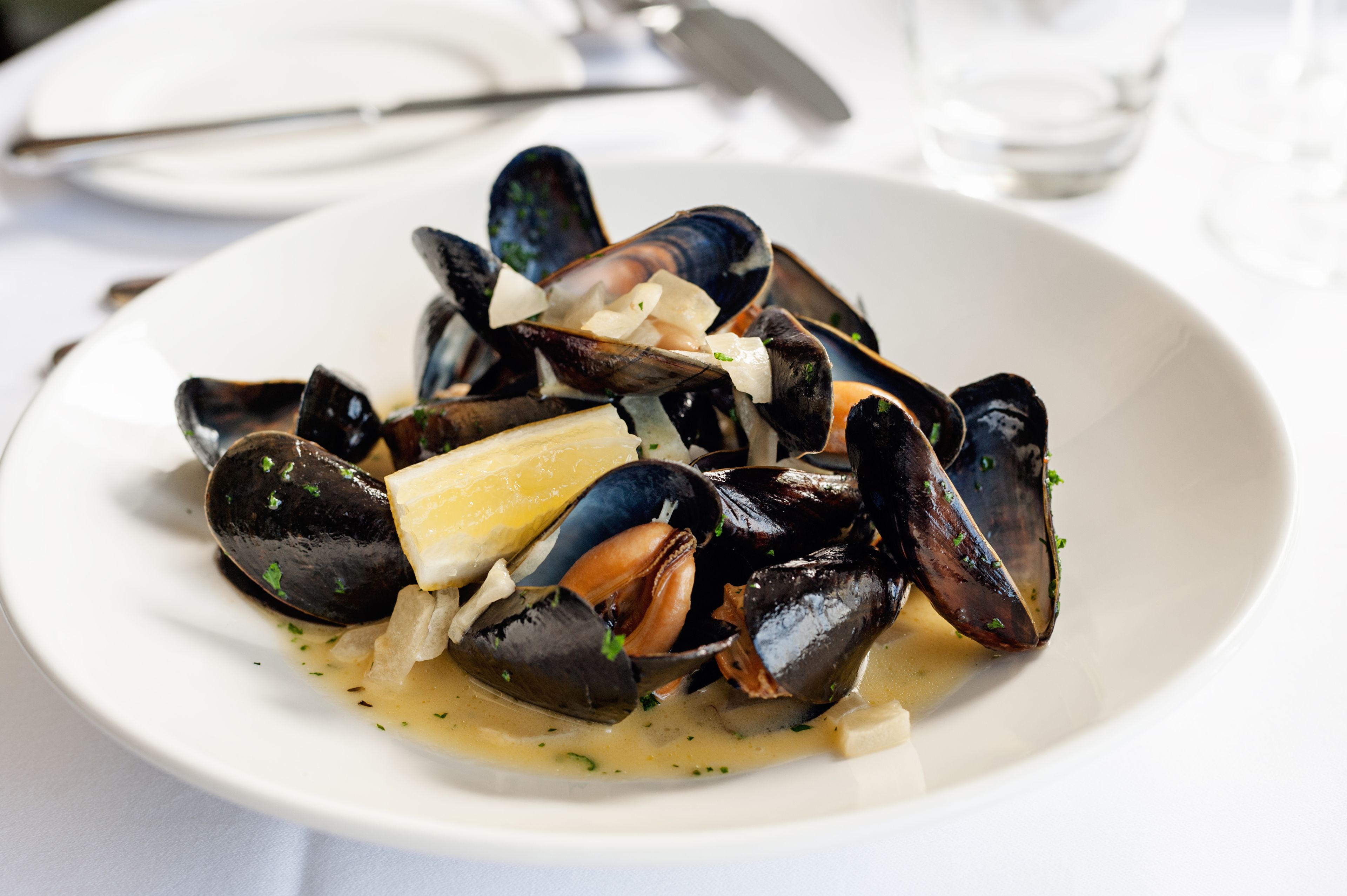 Un plato blanco con mejillones, cuñas de limón y hierbas.