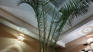 A room with a large potted plant, a ceiling fan, and a door with a mirror. - Riad Sidi Magdoul (Essaouira)