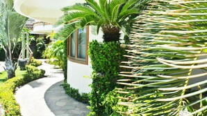A pathway lined with lush greenery and a palm tree, leading to a building with a curved roof and large windows. - Hotel Il Nuraghe (Aracati)