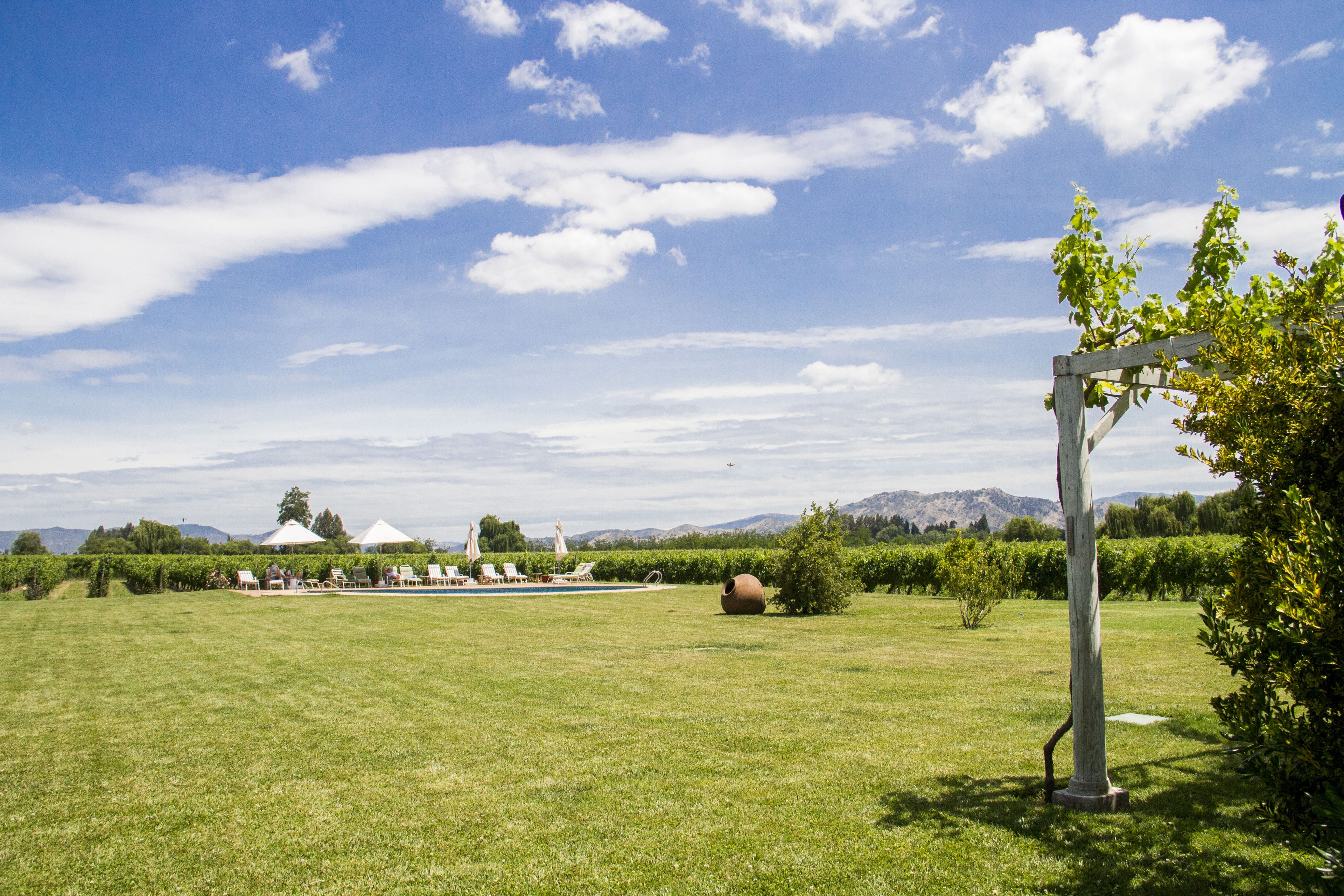 Een grasveld met een pergola, een witte prieel en een heldere lucht.