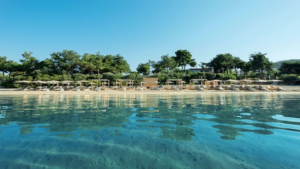 A beachside resort with clear waters, sun loungers, umbrellas, and lush greenery. - Trikorfo Beach (Polygyros)