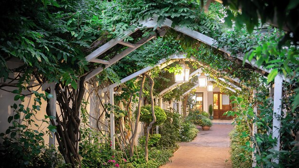 Un sendero bordeado por abundante vegetación y una estructura de pérgola de madera.