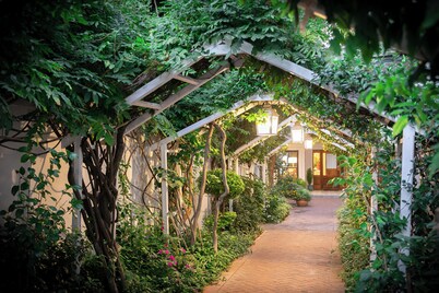The Last Word Franschhoek