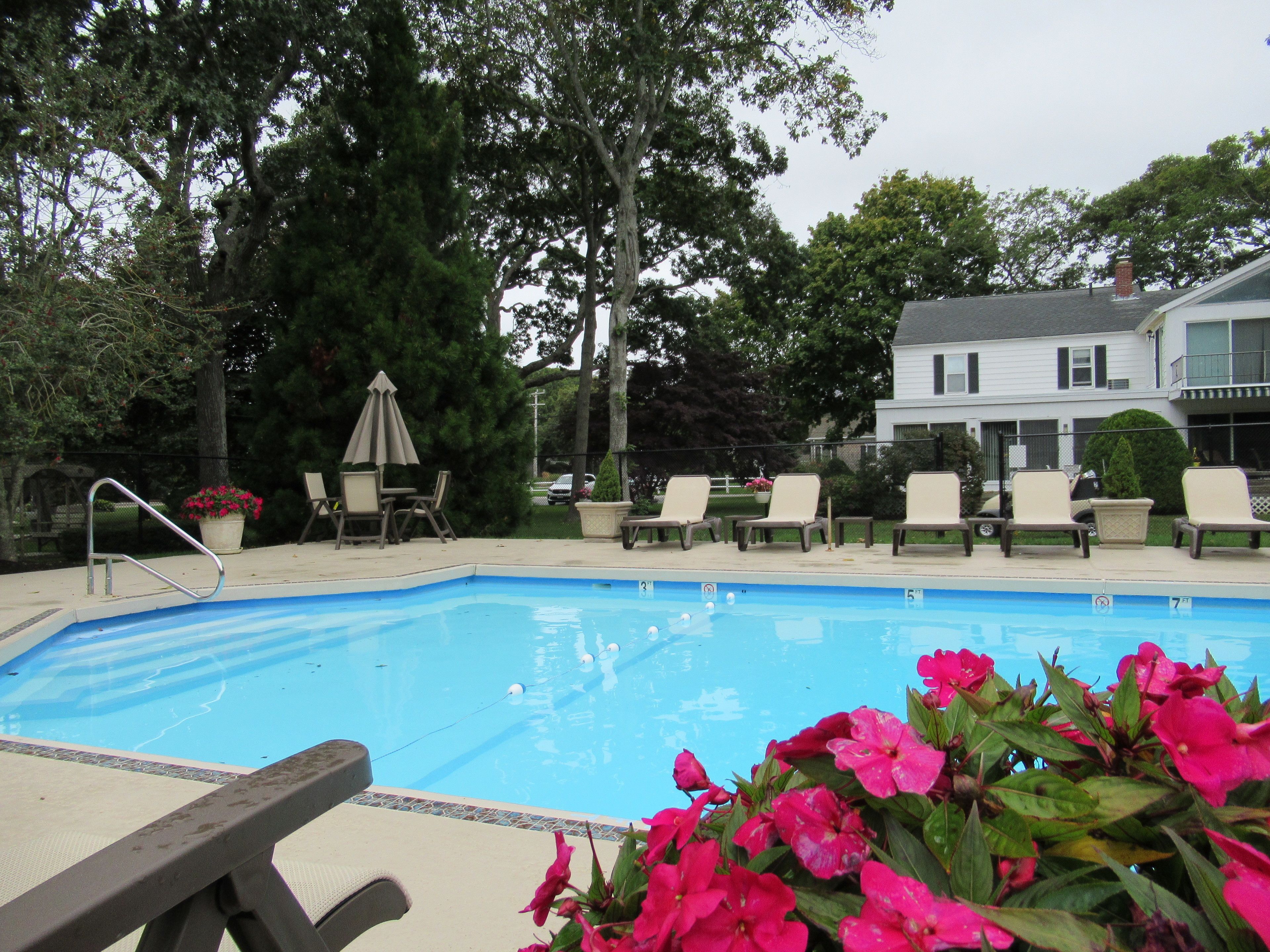 A swimming pool with lounge chairs and a wooden deck.