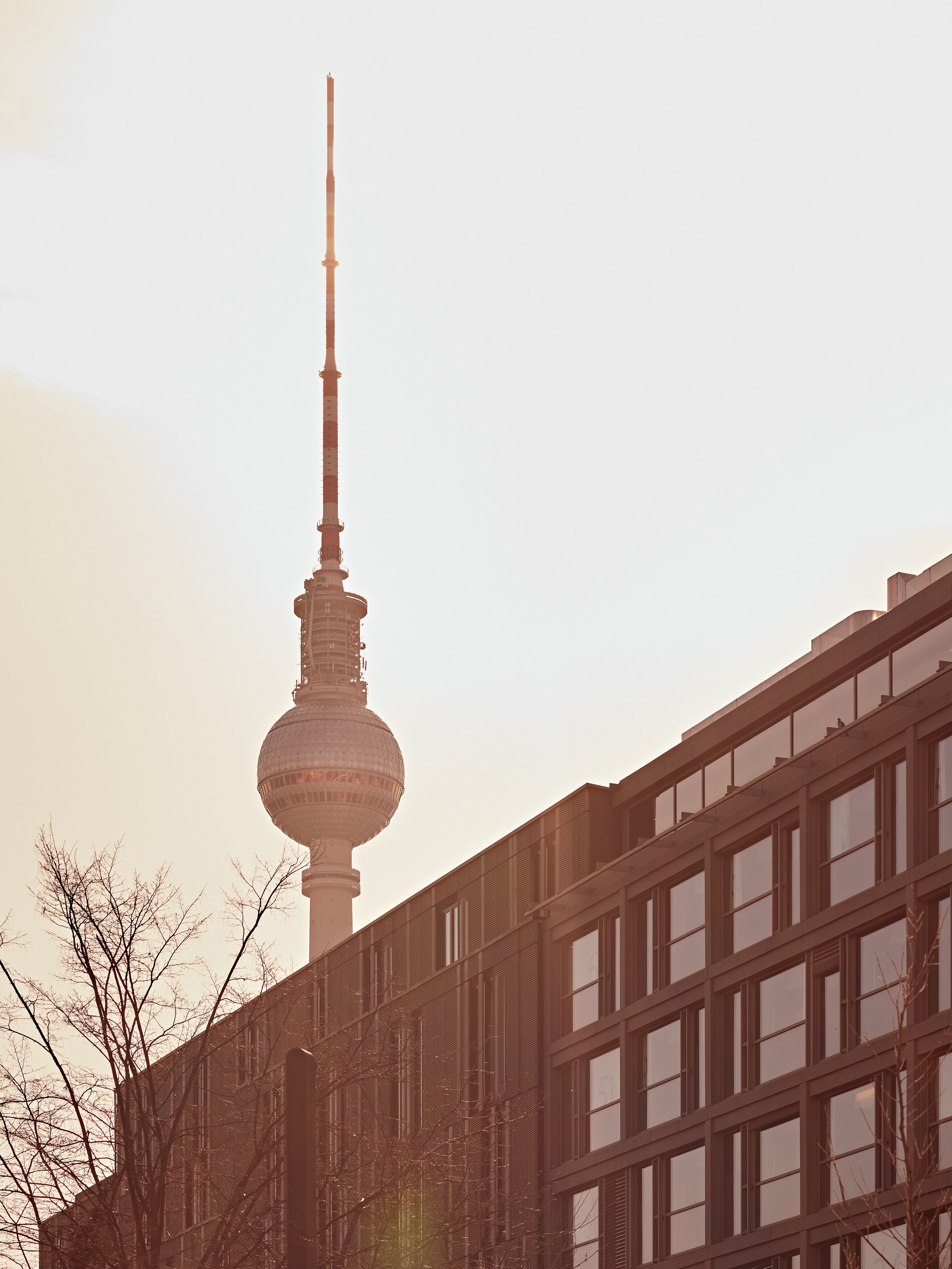 Foto - Numa Berlin Weinmeister