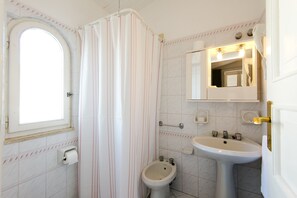 Shower, free toiletries, hair dryer, bidet