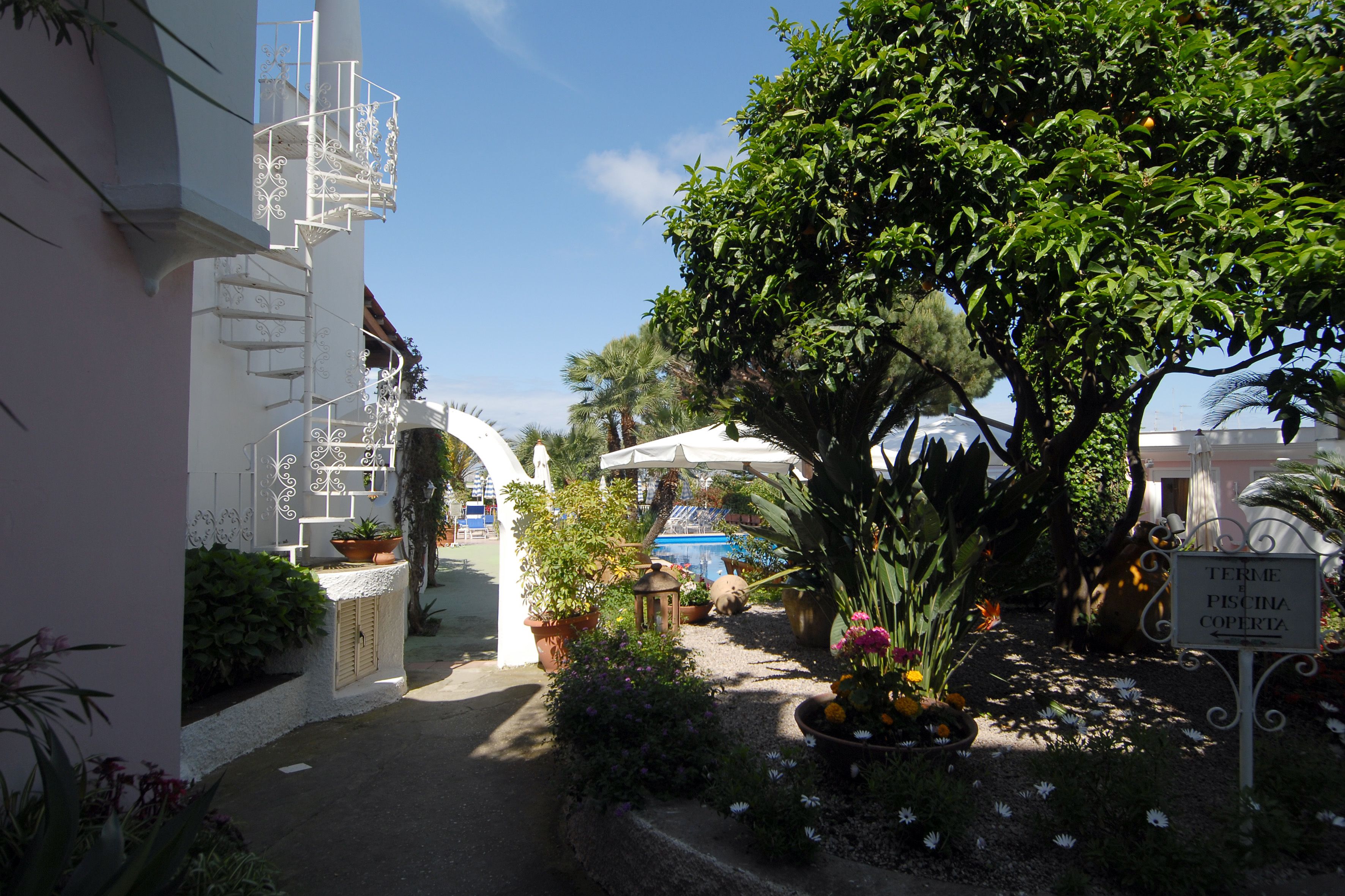 Foto - Av Club Terme Colella