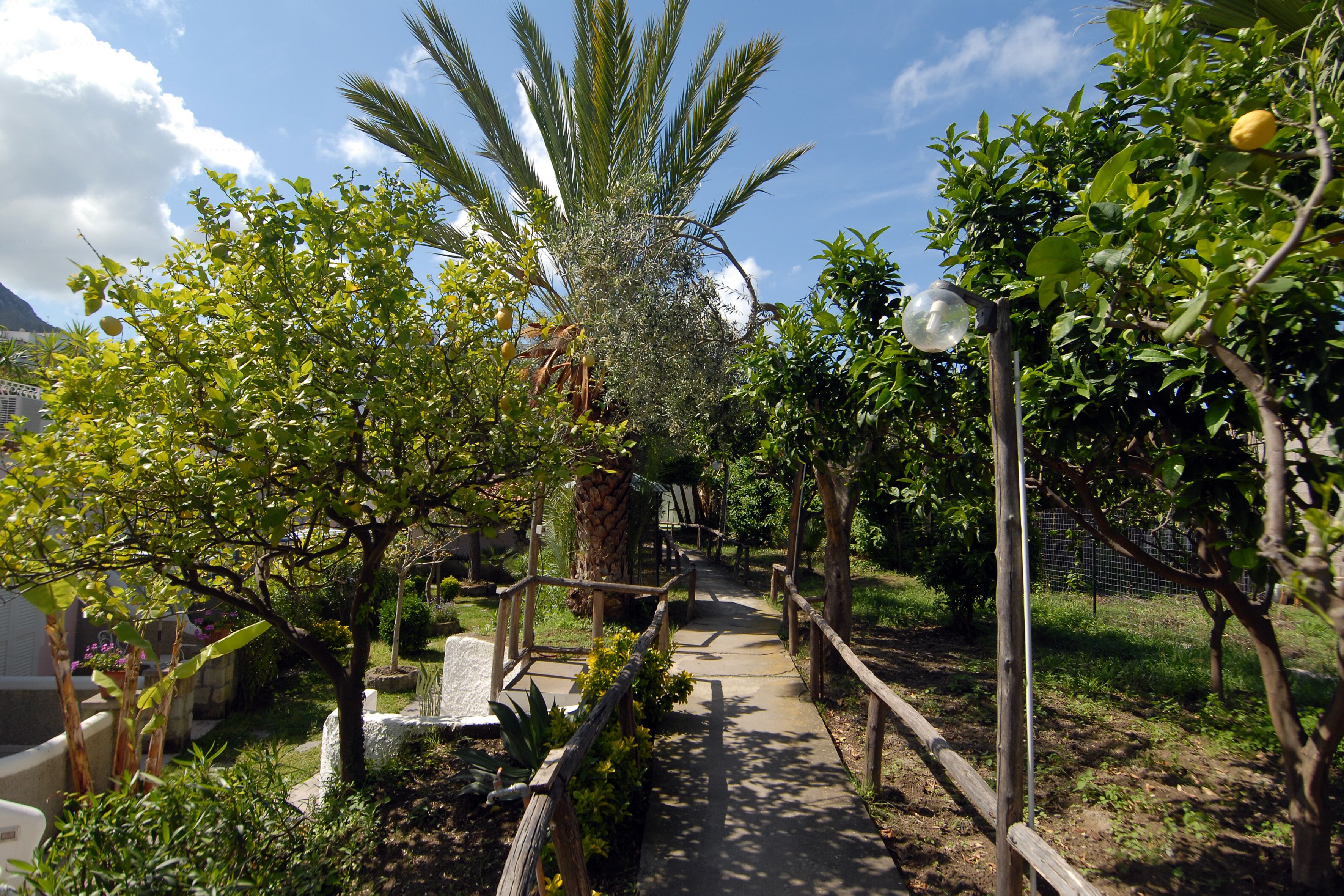 Foto - Av Club Terme Colella