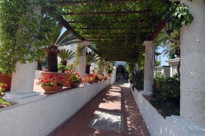 Exterior - Hotel Terme Colella (Forio)