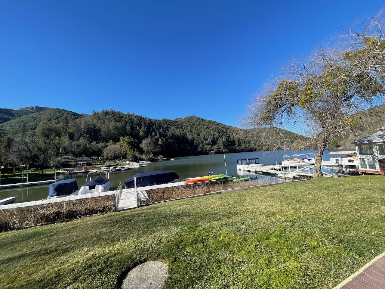 A lakeside view with boats docked, grassy areas, and a mountain backdrop.